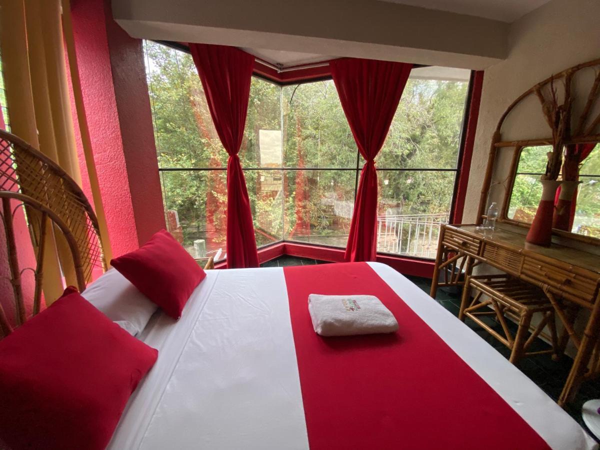 Hotel Alameda اوريزابا المظهر الخارجي الصورة