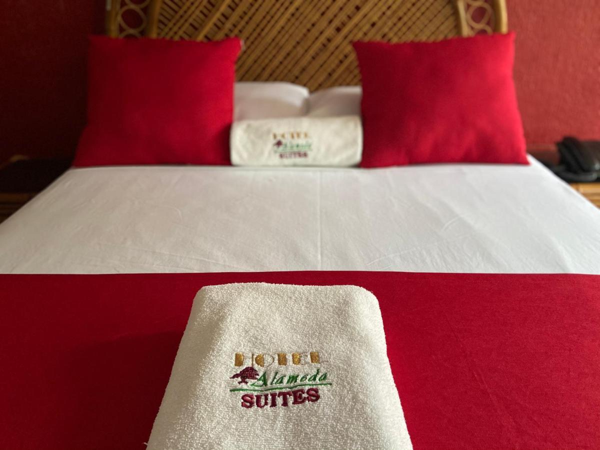 Hotel Alameda اوريزابا المظهر الخارجي الصورة